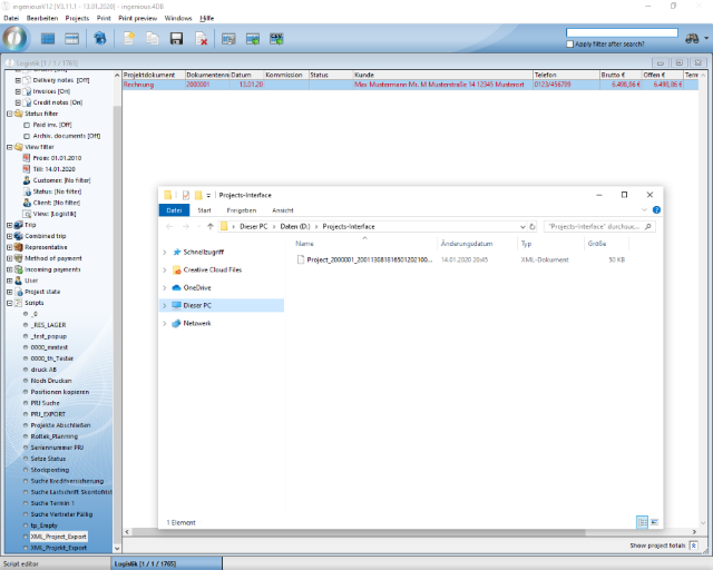 Exported project records